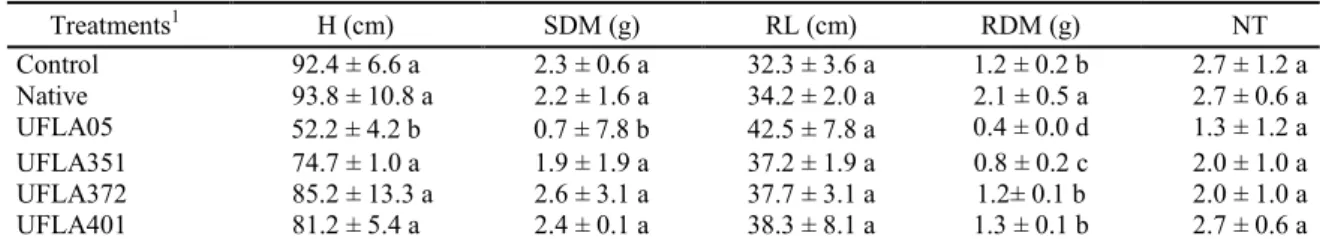 Table  3. Plant height (H), shoot dry matter (SDM), root length (RL), root dry matter (RDM), and number of tillers (NT)  obtained in vetiver grass cultivated with arbuscular mycorrhizal fungi, after 100 days of inoculation.