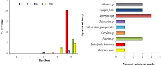 Figure  4.  Percentage  of  fungi  (A)  and  identification  of  fungus  species  (B)  in  papaya  Formosa  Tainung-01  coated  with  extracts of neem leaves and fruits, stored at 30.4 ºC and relative humidity of 42% for 12 days