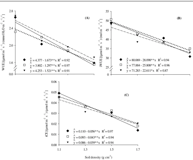 Figure  4.  Instantaneous  water  use  efficiency  (WUE)  (A);  intrinsic  water  use  efficiency  (iWUE)  (B),  and  instantaneous  carboxylation efficiency (iCE) (C) of the lima bean (Phaseolus  lunatus L.) genotypes Branca-Pequena  (♦);  Orelha-de-Vó  (