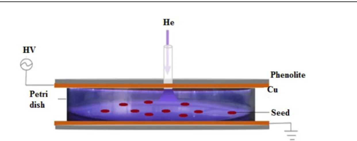 Figure  1.  Diagram  of  the  device  used  for  obtaining  cold  plasma  by  dielectric  barrier  discharge  for  the  treatment  of  Hybanthus calceolaria (L.) Schulze - Menz seeds