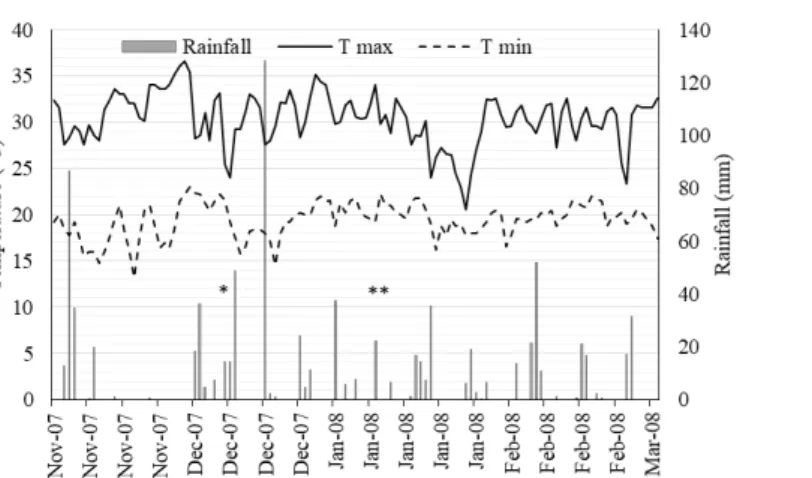 Figure  1.  Weather  data  during  spring  season  on  the  campus  of  the  State  University  of  Londrina,  located  at  51°11’E,            23°23’S, and 560 m above sea level (*N fertilization at vegetative stage; **N fertilization at reproductive stag