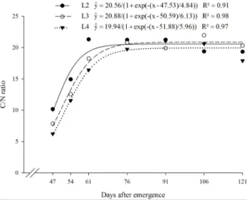 Figure  5.  Carbon/nitrogen  ratio  (C/N)  in  Nicandra  physalodes  over  the  life  cycle  in  four  treatments  of  N,  P  and  K