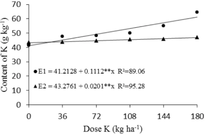 Figure 1. Potassium foliar content as a function of K doses and planting time (E1 – September to December 2012, and E2 –  April to July 2013).