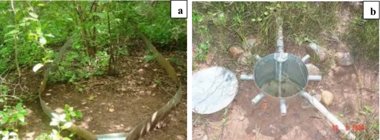 Figure  3.  Plot  of  20  m²  (a)  installed  in  the  experimental  watershed  with  a  typical  caatinga  vegetation  cover  with  regeneration for over 35 years, from the Iguatu Experimental Basin (IEB); first collector tank (b)