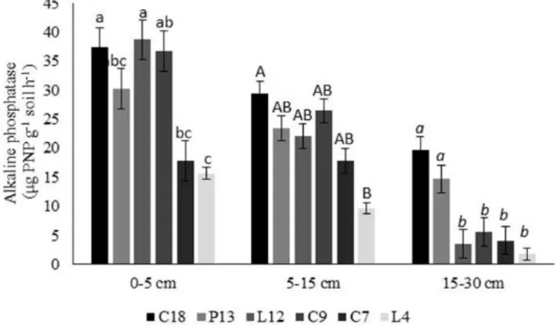 Figure 2. Alkaline phosphatase activity in various areas of forest regeneration at 0-5, 5-15 and 15-30 cm soil layers