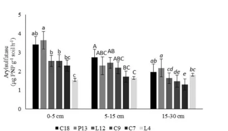 Figure  3.  Arylsulfatase  activity  in  different  areas  of  forest  regeneration  at  0-5,  5-15  and  15-30  cm  soil  layers