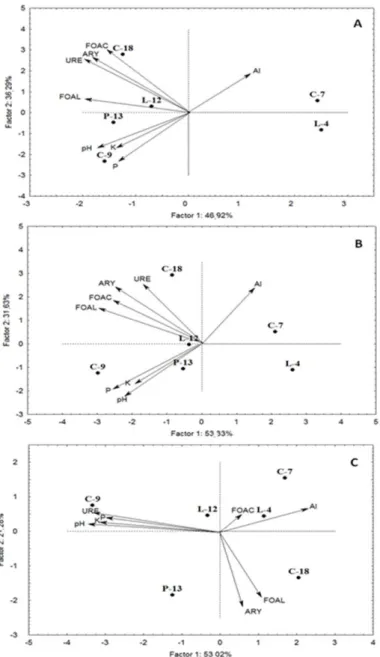 Figure  5. Diagram of projection vectors obtained with a multivariate principal component analysis (PCA), based on the  chemical  and  enzymatic  attributes  of  soils  from  areas  subjected  to  different  durations  of  forest  regeneration  at  differe