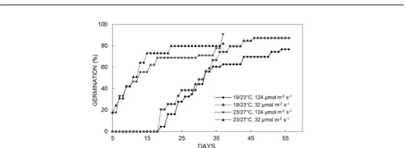 Figure  3. Cumulative germination percentage of  Myroxylon balsamum  seeds, embryo and cotyledons exposed (E), under  different light intensities and temperature regimes