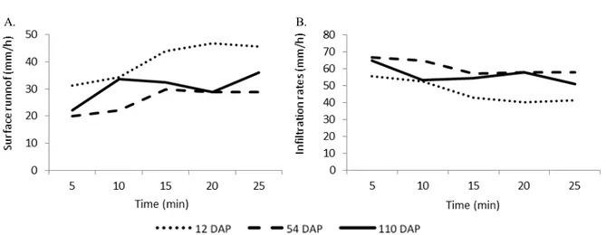 Figure 2. Infiltration rates (B) and surface runoff (A) in sorghum crops with mulch, measured at 12, 54 and 110 days after  planting (DAP)