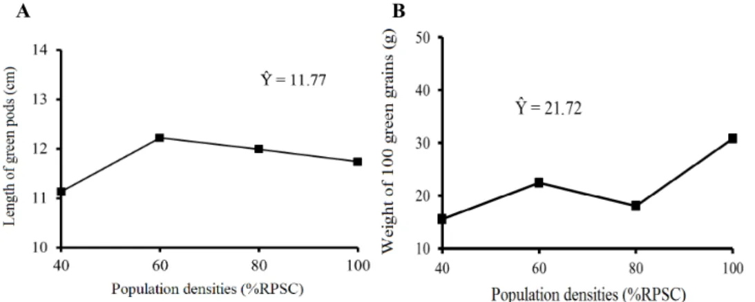 Figure 3. Length of green pods (A) and weight of 100 green grains (B) of cowpea in intercropping with carrot  as a function of population density of cowpea.