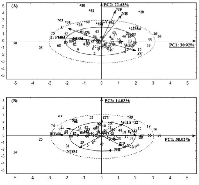 Figure 1 - Biplot graph with 85 RR soybean genotypes dispersed in function to the principal components: PC1 x PC2 (A) and PC1 x PC3 (B) and projection of the traits vectors: NDM - Number of day to maturity (days); PHM - Plant height at maturity (cm), L - L