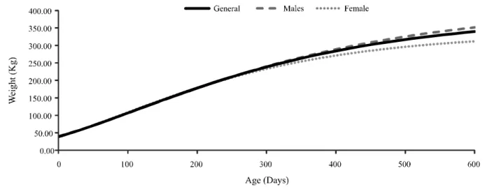 Figure 3 - Weight estimate as a function of age, obtained using the Brody model for Nellore cattle raised in the Pantanal region, MS, (Middle Group)