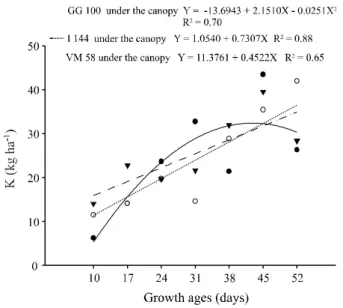 Figure 4 - Absorption of K (kg ha -1 ) of signal grass, regression equations, and determination coefficients (r 2 ) at seven growth ages under the canopy of three Eucalyptus clones