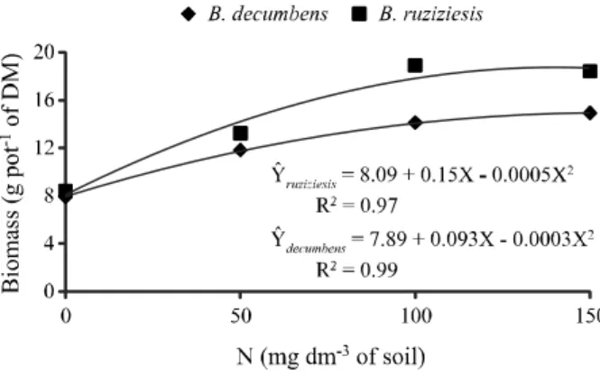 Figure  1 - Biomass production of Brachiaria decumbens and Brachiaria ruziziensis in response to nitrogen (N) doses