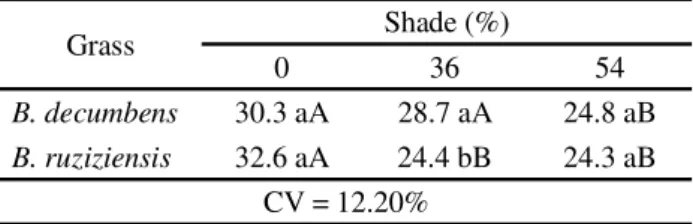 Table 1 - Mean values for tillers number (per pot) in Brachiaria decumbens e Brachiaria ruziziensis, under shade levels