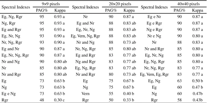 Table  3 - Global accuracy rate (GAR) and Kappa index for each spectral index and combinations, for the different image block dimensions of the indicative maize leaf at the V7 stage
