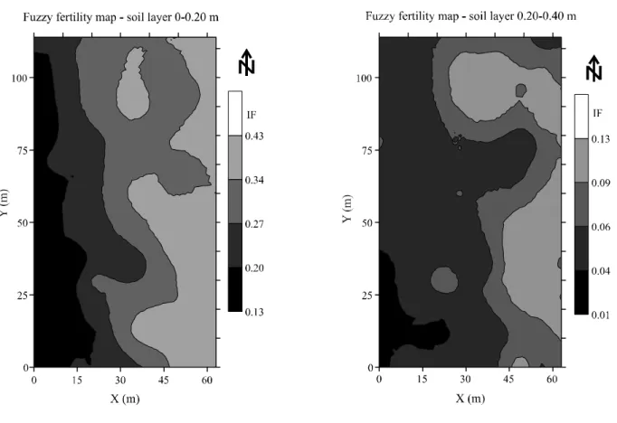 Figure 6 - Fuzzy maps of fertility of the area in the two layers of soilThe individual attribute maps show a need forfertiliser, as the FIs fall into a minimal range in thesoil and are limiting to plant development, especiallythe macronutrients K, Ca and M