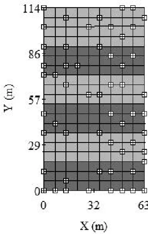 Figure 1 - Distribution of the stratified random sampling points in the area cultivated with the rubber tree