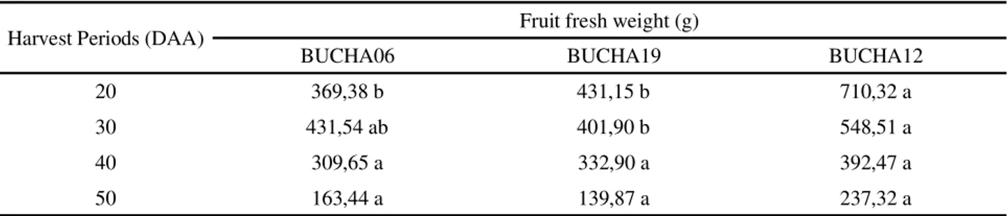 Table 2 - Effect on fruit fresh weight (g) of Luffa cylindrica (L.) Roem. accessions as a function of fruit harvest period