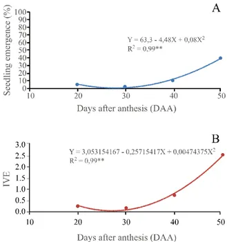 Figure 3 - Seedling emergence (A) and emergence speed index (ESI) (B) in seeds of Luffa cylindrica (L.) Roem