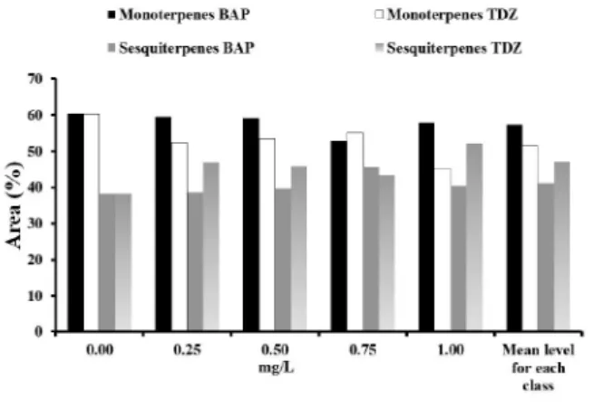 Figure  6 - Cumulative total monoterpene and sesquiterpene content in leaves of Hyptis marrubioides grown under different concentrations of BAP and TDZ
