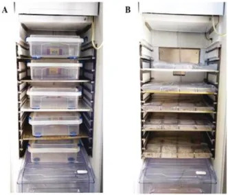 Figure 3 - Plastic boxes wrapping the paper envelopes (A) and traditional boxes with filter paper (B) inside the BOD during the germination test