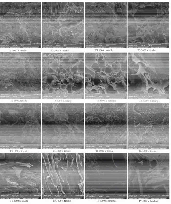 Figure 2 – Fracture surface micrographs of tensile and static bending test specimens obtained by scanning electron microscopy (SEM).