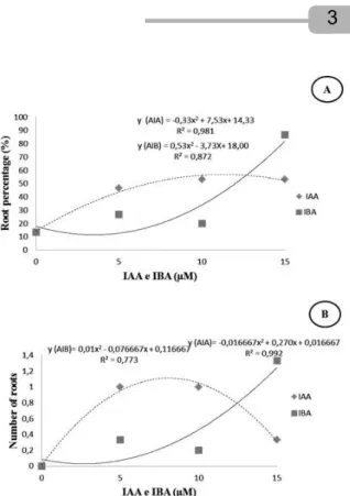 Figure 1 – Root percentage (A) and number of roots (B) of seedlings of the Tenera hybrid of  Elaeis guineensis Jacq., cultivated under different concentrations of IAA and IBA, during 120 days.