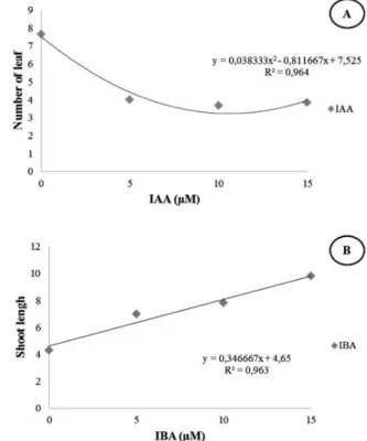 Figure 3 – Effect of IBA and IAA during in vitro rooting of the Tenera hybrid of oil palm Elaeis guineensis Jacq