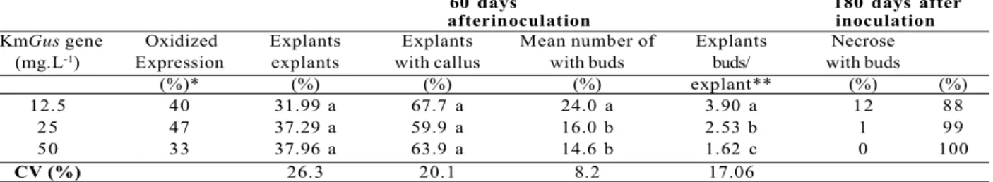 Table 2 – Gus gene expression and organogenesis in  Eucalyptus saligna cotyledonary explants in selective medium containing different concentrations of kanamycin