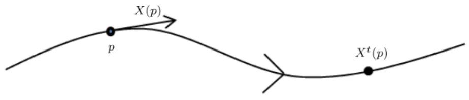 Figure 1.1: Representation of a flow.