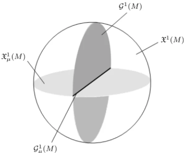 Figure 1.3: Representation of the sets G 1 (M ) and G µ 1 (M ).