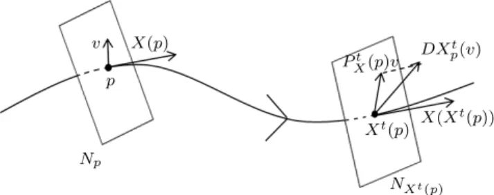 Figure 2.3: Representation of the linear Poincar´ e flow.