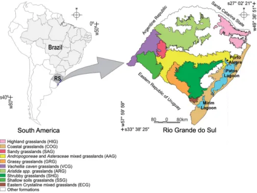 Figure 1 – Grassland typologies in the study area of the state of Rio Grande do Sul, Southern Brazil; Source: Adapted from Hasenack et al