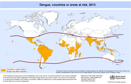Figura  1  -  Distribuição  geográfica  da  dengue  no  mundo  em  2013.  Dado  fornecido  pela  Organização 