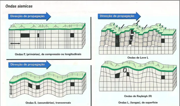 Figura II.1-Movimentação das partículas devido às ondas sísmicas; Fonte: “Terra,  Universo de Vida”, Porto Editora, 1999