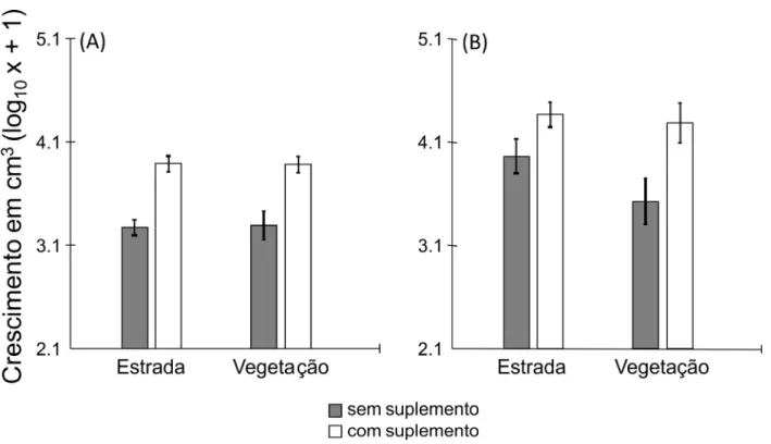 Figura 2 – Crescimento médio (± erro padrão) das colônias 3 meses (A) e 15 meses (B) de Atta  laevigata sobreviventes em estradas de terra e no interior da vegetação em uma área de Cerrado,  após oito meses de suplementação alimentar