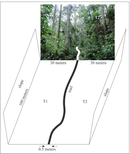 Figure 1. Study area.
