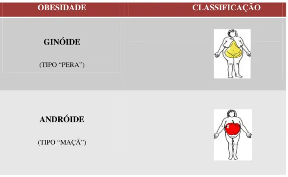 Figura 1 – Classificação da Obesidade Ginóide e Andróide (Ornelas, 2004) 