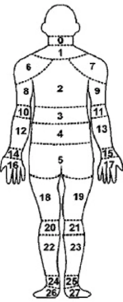 Figure 2. Diagram used in evaluation of postural  discomfort of workers. Source: Adapted from Corlett  (1995).