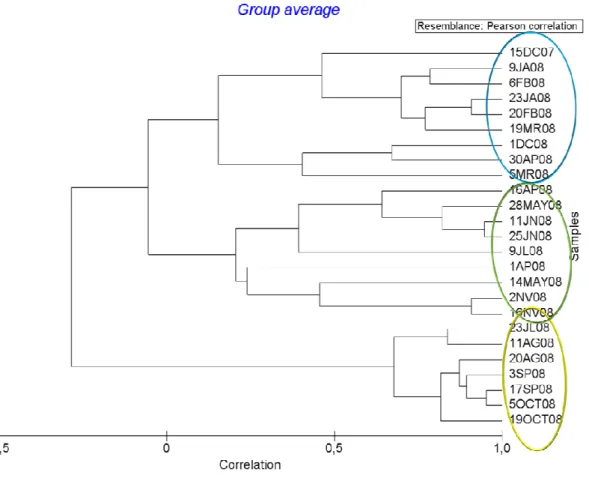 Figure 7. Cluster analysis of 2008 samples according to the environmental parameters. 