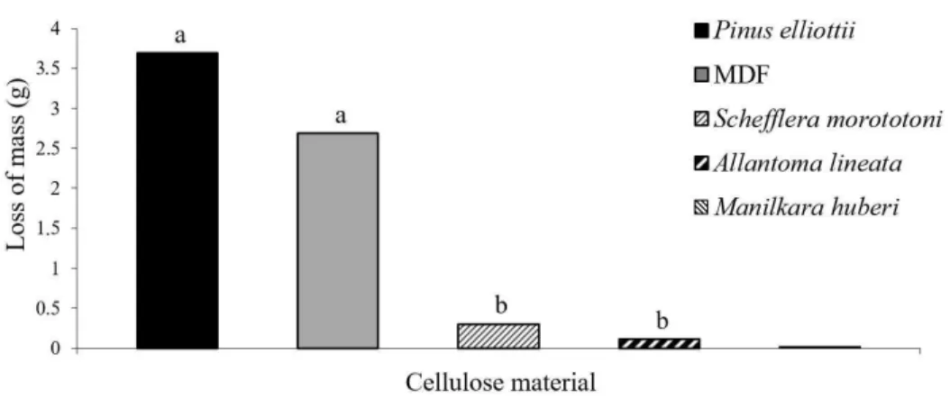 Figure 3. Loss of mass of wooden stakes of the four forest species and MDF caused by Coptotermes gestroi (N = 64)