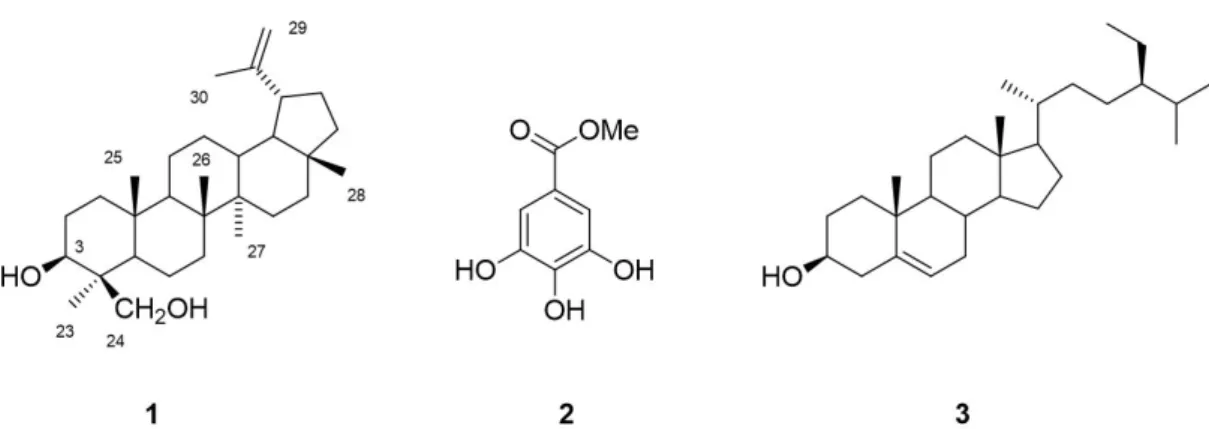 Figure 1. Phytochemical constituents (1, 2 and 3) isolated from the stem bark of Bauhinia monandra.