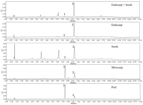 Figure 4. Representative chromatograms of the ethanolic extract from different parts of genipap fruit