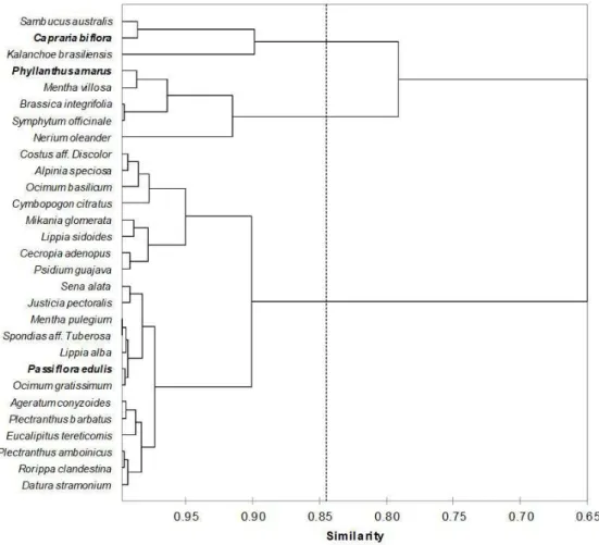 Figure 1. Dendogram of hierarchical cluster analysis for the medicinal plants of Northeast Principal component analysis is a technique for  reducing the number of variables by finding a linear combination of variables that explains the variance in the orig
