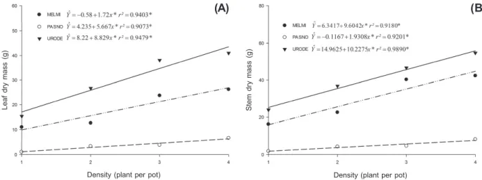 Figure 2 - Leaf dry mass (A) and stem dry mass (B) of the species Melinis minutiflora (MELMI), Paspalum notatum (PASNO) and Urochloa decumbens (URODE) grown in different densities, coexisting with pequi tree.