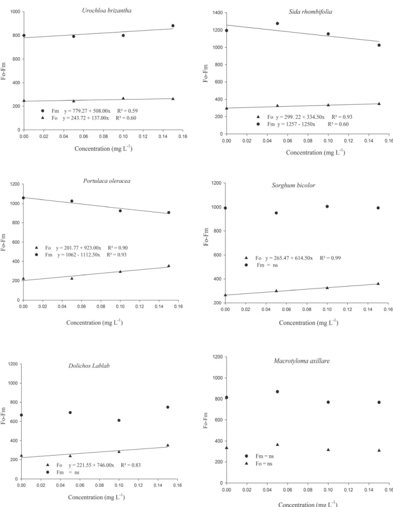 Figura 4 - Initial fluorescence (Fo) and maximum fluorescence (Fm) of chlorophyll a (quantum electrons -1 ) of fodder plants and weeds under the effect of atmospheric clomazone.