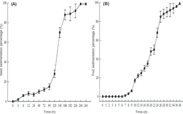Figure 3 - Flotation dynamics of seeds (achene) (A) and fruits (perigynium) (B) of Carex physodes on still water.