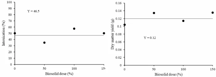 Figure 2  - Intoxication and dry matter of  Cucumis sativus  subject to application of leached solution of picloram + 2.4-D from the leaching test due to the biosolid dose incorporated in the soil column.