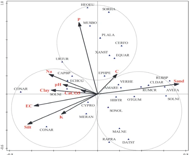 Figure 3 - CCA ordination diagram representing the correlation between weed species and soil properties.